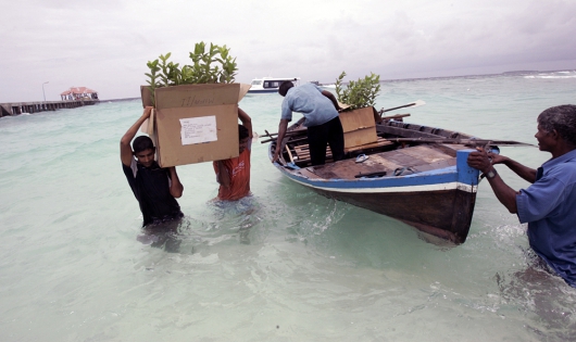Sviluppo sostenibile deiPiccoli Stati Insulari